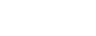 novel